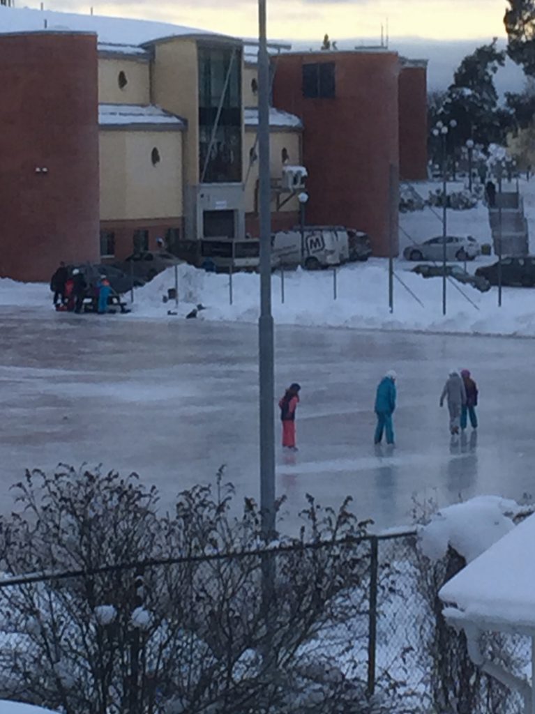Skridsko och fotbollsplan